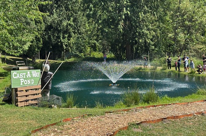 A Relaxing Day of Fishing and Fresh BBQ - Private-group hospitality: what makes Dreamytrip’s version feel easier