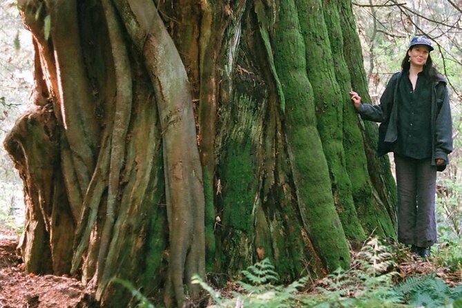 Ancient Trees of Vancouver Walking Tour - Starting at Ferguson Point: what timing and pace really mean
