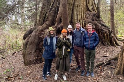 Ancient Trees of Vancouver Walking Tour - The ancient trees you’ll learn to spot (Douglas firs, cedars, and the big maple)