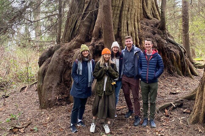 Ancient Trees of Vancouver Walking Tour - The ancient trees you’ll learn to spot (Douglas firs, cedars, and the big maple)