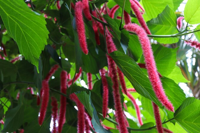 Bloedel Conservatory Admission Ticket - The kids scavenger hunt: a smart way to slow down