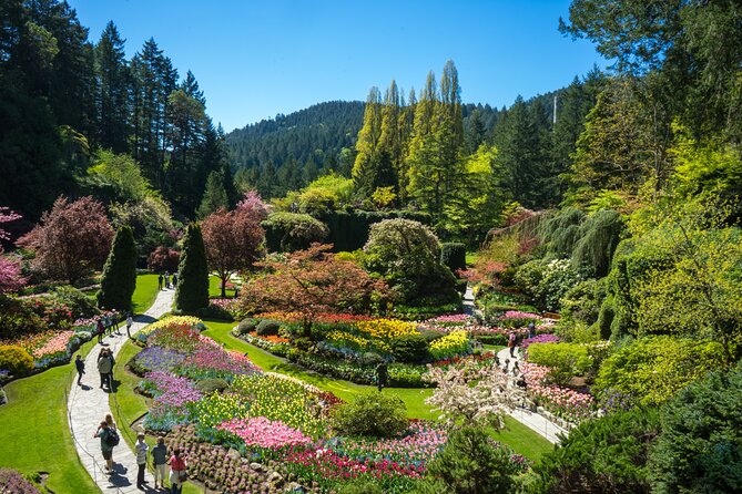 Butchart Gardens and Victoria Sightseeing Tour from Vancouver - The Swartz Bay return cruise and getting back to Vancouver