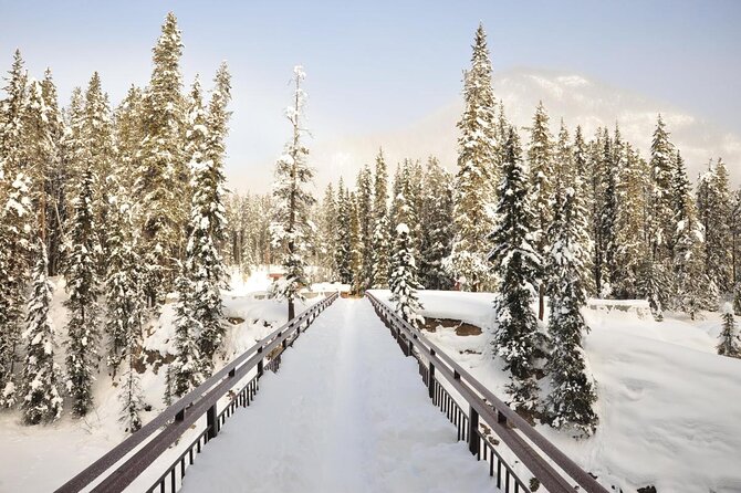 Canadian Rockies and Banff 4-Day Tour from Vancouver (Chn&Eng) - Quick hits to know before you go