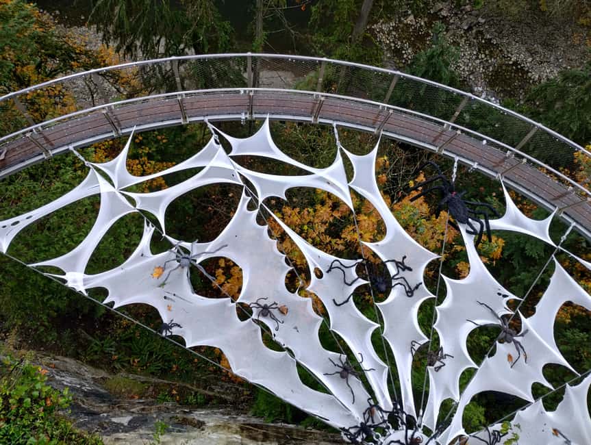 CAPILANO BR+GROUSE Mtn+STANLEY P+DAM+LAKE+HATCHERY/CAR/9in1 - A compact Vancouver best-of day in a luxury car