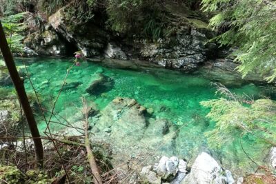 Capilano Suspension Bridge Canyon Lights & 4 Top highlights - Lynn Canyon Park: a fast taste with extra ticket cost