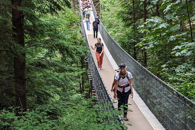 Capilano Suspension Bridge Canyon Lights & 4 Top highlights - The guide and pacing factor (and why it matters)