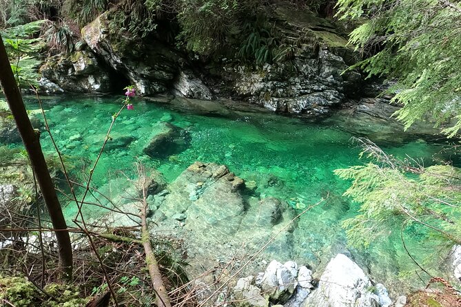 Capilano Suspension Bridge Canyon Lights & 4 Top highlights - Lynn Canyon Park: a fast taste with extra ticket cost