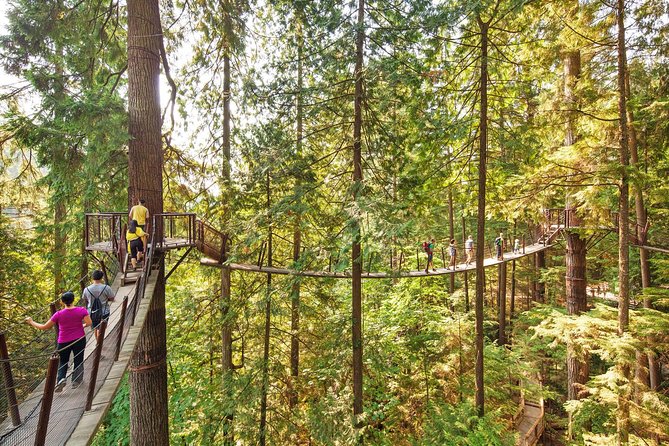 Capilano Suspension Bridge + Grouse Mountain Tour - How long each stop feels (and how that affects your day)