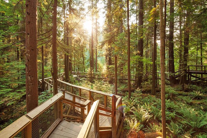 Capilano Suspension Bridge Park Ticket - Pacing Your Visit: How to Get 2–3 Hours That Don’t Feel Rushed