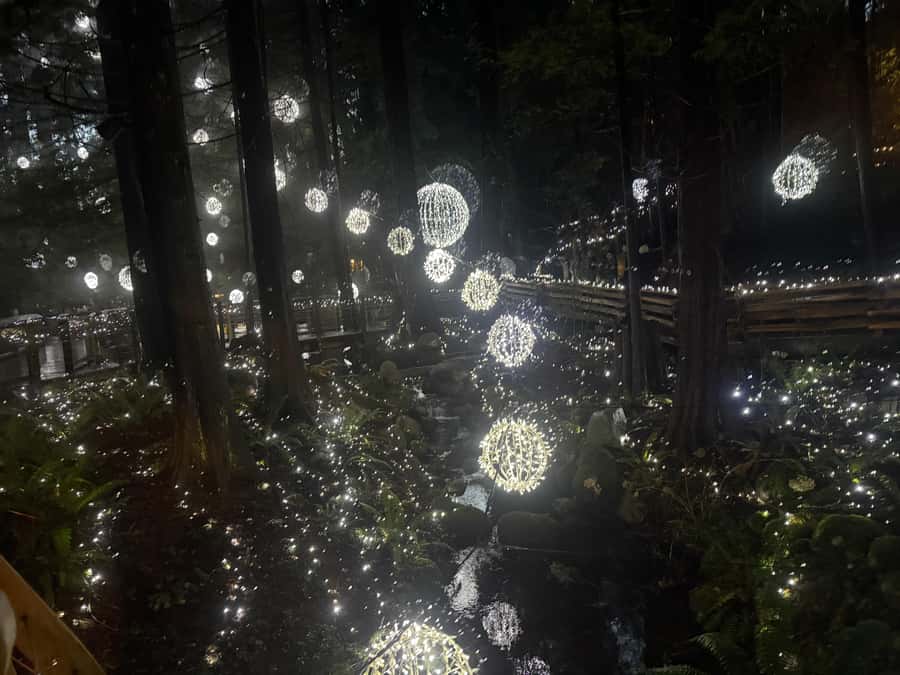 Capilano Suspension Bridge/Private/Small Group/By LUX CAR - Key Points You’ll Actually Care About