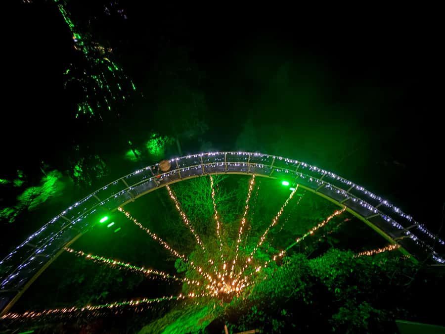 Capilano Suspension Bridge/Private/Small Group/By LUX CAR - Kia’palano and the Story Centre: Get Context Before the Walking