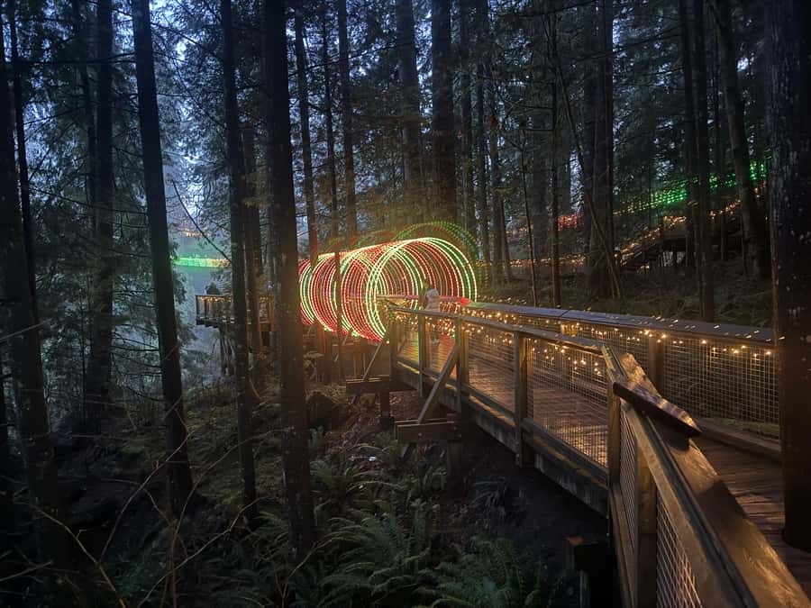Capilano Suspension Bridge/Private/Small Group/By LUX CAR - Cliffwalk Along Capilano Canyon: Breathtaking Vistas Without the Clutter