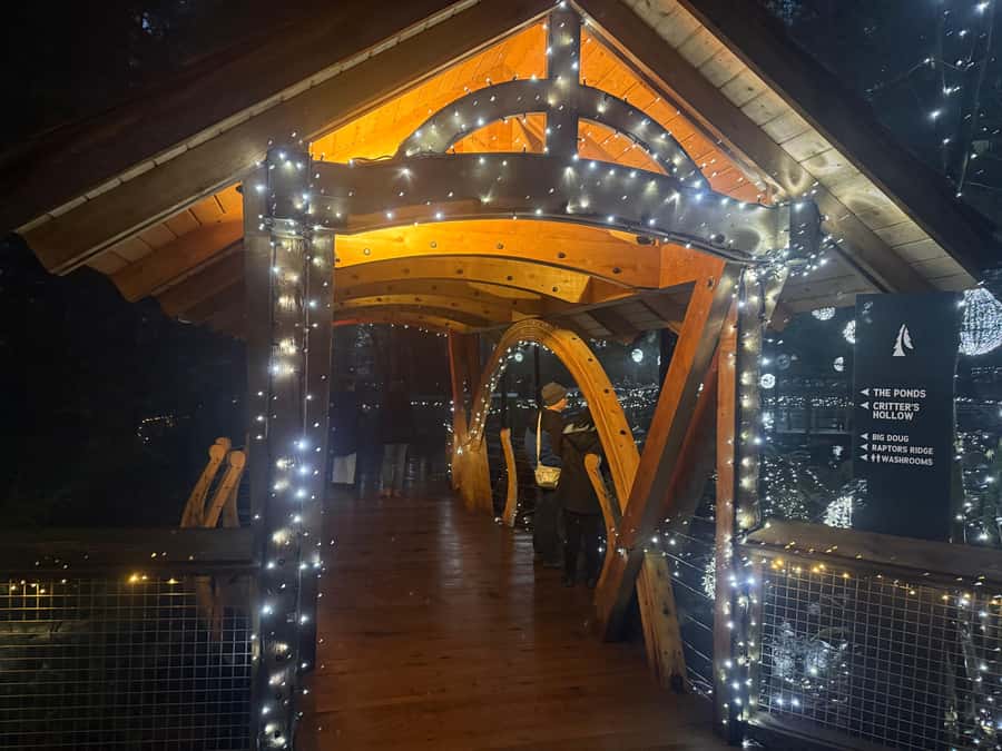 Capilano Suspension Bridge/Private/Small Group/By LUX CAR - Trading Post, Coffee, and the Little Time Wins