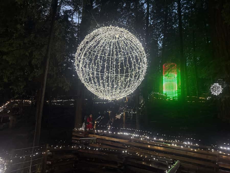 Capilano Suspension Bridge/Private/Small Group/By LUX CAR - How Long You Really Have (2.5 Hours That Can Stretch)