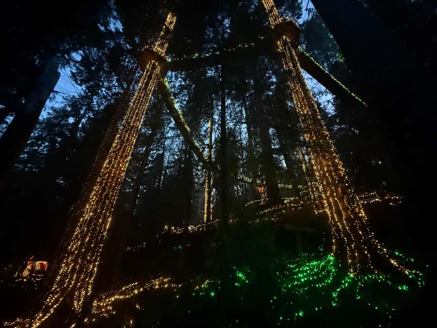 Capilano Suspension Bridge/Private/Small Group/By LUX CAR - Stanley Park and Lions Gate Bridge: The Scenic Setup