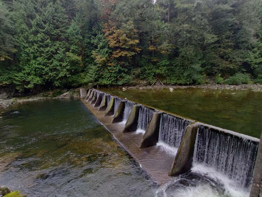 Capilano Suspension Br+Lake+Dam+Hachery/4in1/CAR/Small GROUP - Capilano Salmon Hatchery: seeing the salmon story in motion