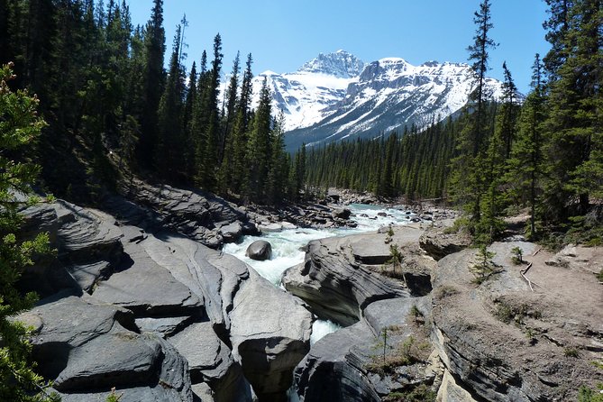 Caribou - Discover the Best of the Rockies (8-Days) - Columbia Icefield and Jasper Falls: when the mountains feel loud