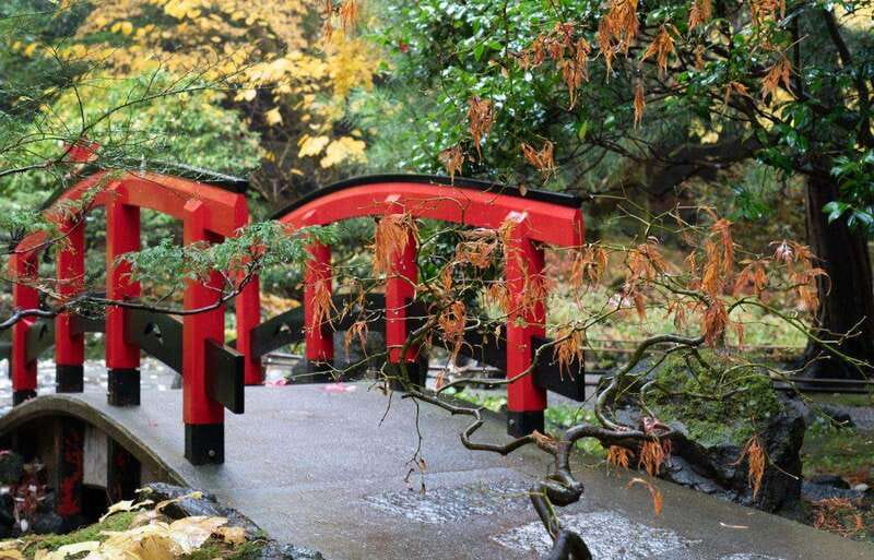 Day Trip from Vancouver to Victoria and Butchart Gardens - Practical packing and pacing tips for this Victoria + Butchart Gardens schedule