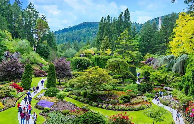 Day Trip from Vancouver to Victoria and Butchart Gardens - The BC Ferries crossing: what to expect from the 90-minute Strait of Georgia ride