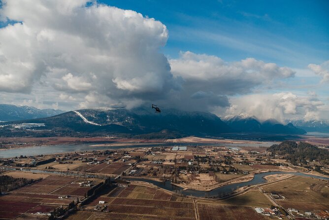 Discovery Flight Experience (Depart SKY Hangar) - The helicopters you may fly: R44 and AS350