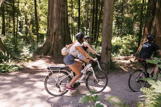 Epic Electric Bike Tour by Cycle City Tours - Chinatown and Gastown: cultural stops plus the origin story of Vancouver