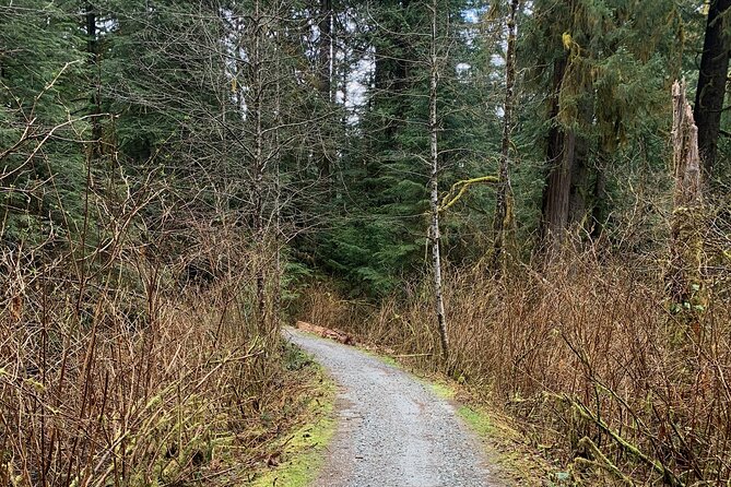 Experience the Beauty of Vancouver’s Forests by Bike/E-Bike - Picnic Lunch at a Scenic Outpost Stop
