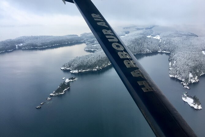 Extended Vancouver Panorama Scenic Seaplane Tour - Value for the Money: Why This Isn’t Just a Quick Tour