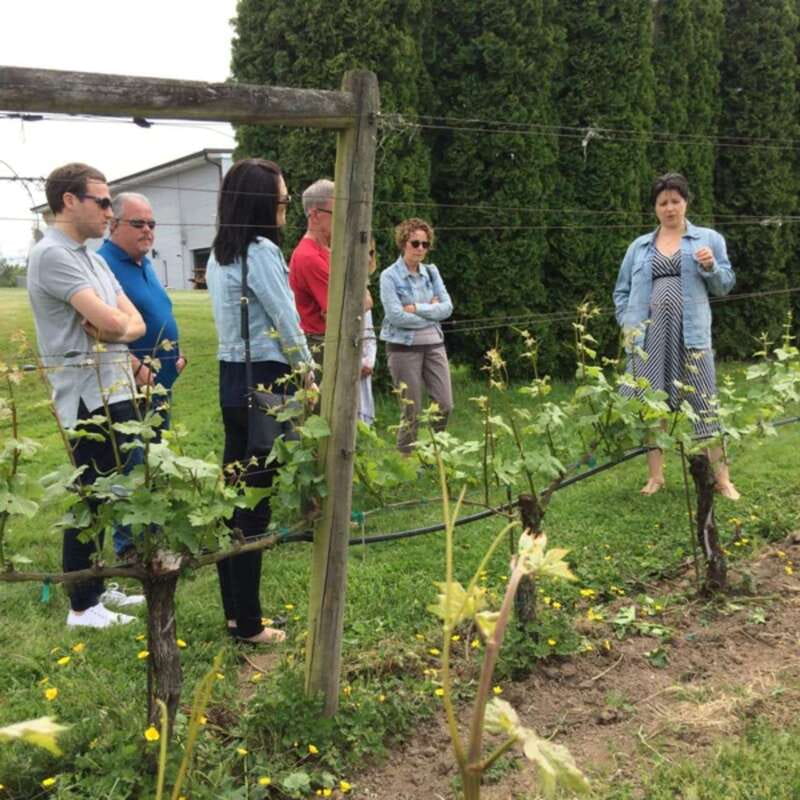 From Vancouver: Fraser Valley Wine Tour with Local Tastings - The Live Guide: Why Tim and Kevin Matter to the Experience
