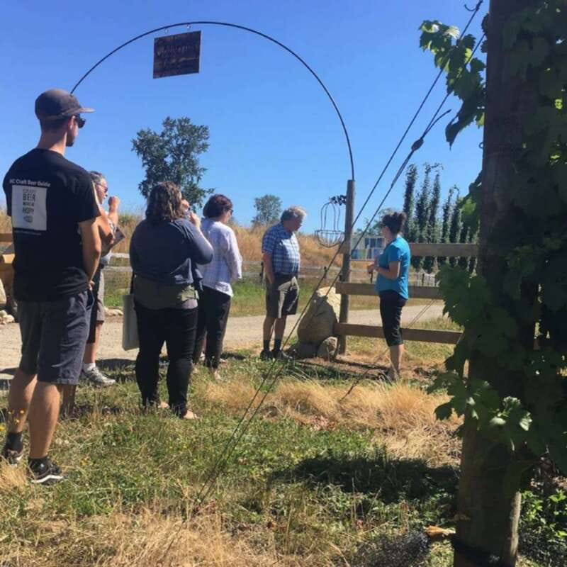 From Vancouver: Fraser Valley Wine Tour with Local Tastings - Who This Tour Fits Best (And Who Might Want a Different Plan)