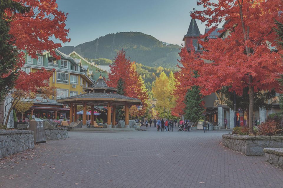 From Vancouver: Whistler and Shannon Falls Private Day Trip - Gondola stops and the Sky Pilot Suspension Bridge (yes, it’s high)