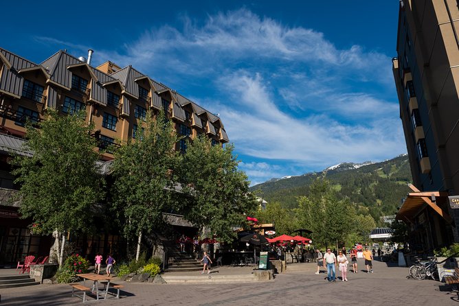 From Vancouver: Whistler & Sea to Sky Gondola with Shannon Falls - Shannon Falls Provincial Park: quick, loud, and worth the camera time
