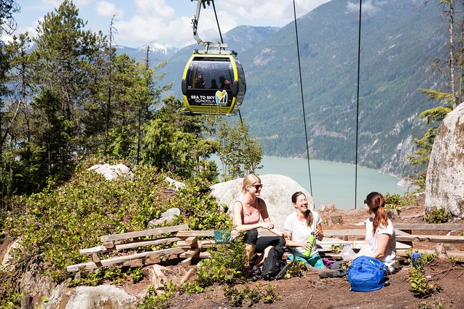 From Vancouver: Whistler & Sea to Sky Gondola with Shannon Falls - Price and value: what you’re paying for at $173.04 per person