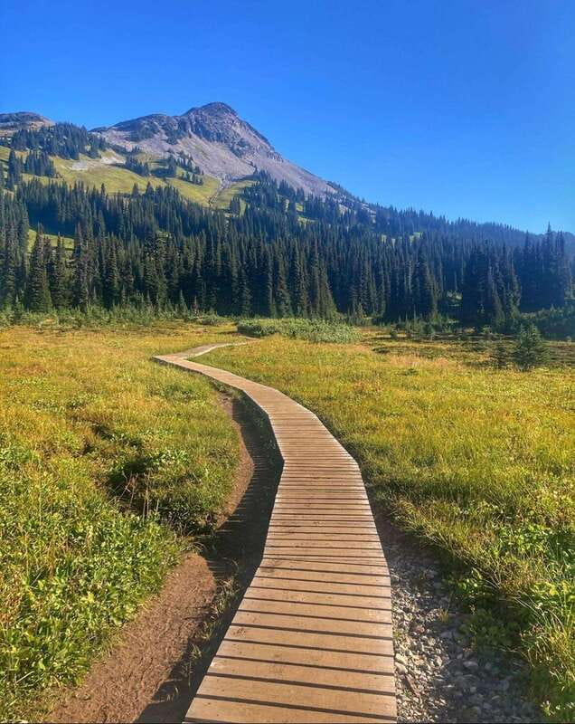 Garibaldi Park/ Panorama Ridge/ Hiking Day Trip - Key highlights you’ll actually feel