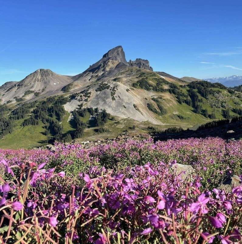 Garibaldi Park/ Panorama Ridge/ Hiking Day Trip - Panorama Ridge summit: the lunch stop that turns the whole hike into a memory