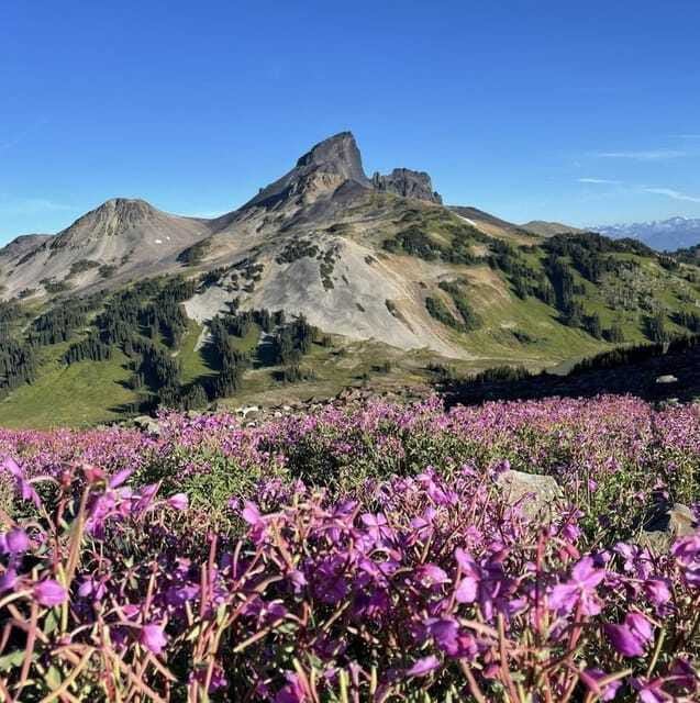 Garibaldi Park/ Panorama Ridge/ Hiking Day Trip - Price and value: what $475 per person buys you