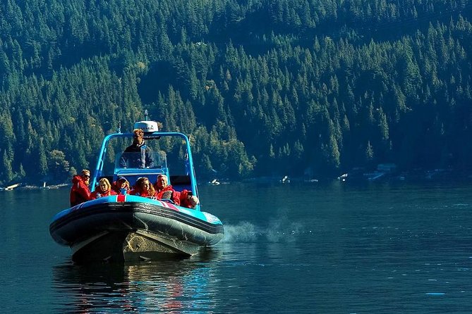 Granite Falls Zodiac Tour by Vancouver Water Adventures - Along the way: wildlife spotting and photo-friendly moments