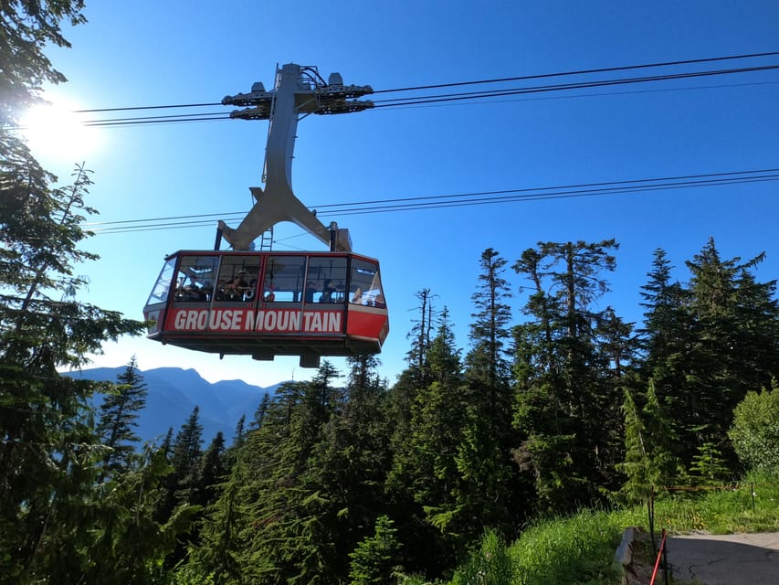 Grouse Mnt+StanleyPark+Hatchery+Cleveland Dam+LynnCanyonTOUR - Grouse Mountain Skyride: big views plus real wildlife time