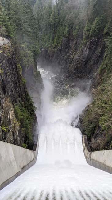 Grouse Mnt+StanleyPark+Hatchery+Cleveland Dam+LynnCanyonTOUR - Capilano River Hatchery: salmon life cycle, explained in a way you can actually use