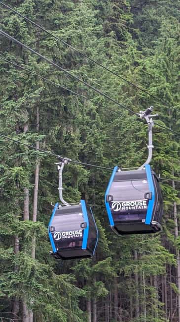 Grouse Mnt+StanleyPark+Hatchery+Cleveland Dam+LynnCanyonTOUR - Stanley Park wrap-up: totem poles and seawall views before you head back