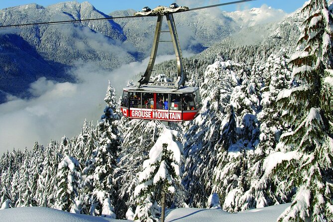 Grouse Mountain Admission Ticket - Grouse Mountain’s Skyride-to-Peak-Chalet Plan (The Part You’ll Actually Feel)
