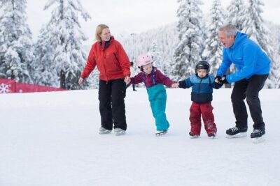 Grouse Mountain Admission Ticket - Summer on Grouse: Lumberjack, Birds in Motion, Bears Coola and Grinder