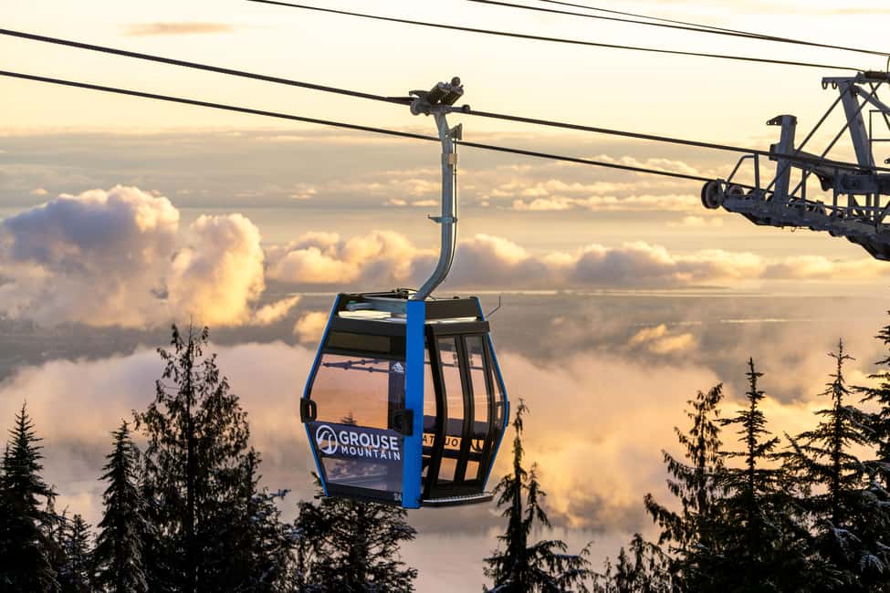 Grouse Mountain, Capilano Bridge & Fish Hatchery Tour - Lions Gate Bridge to North Vancouver: the scenic handoff