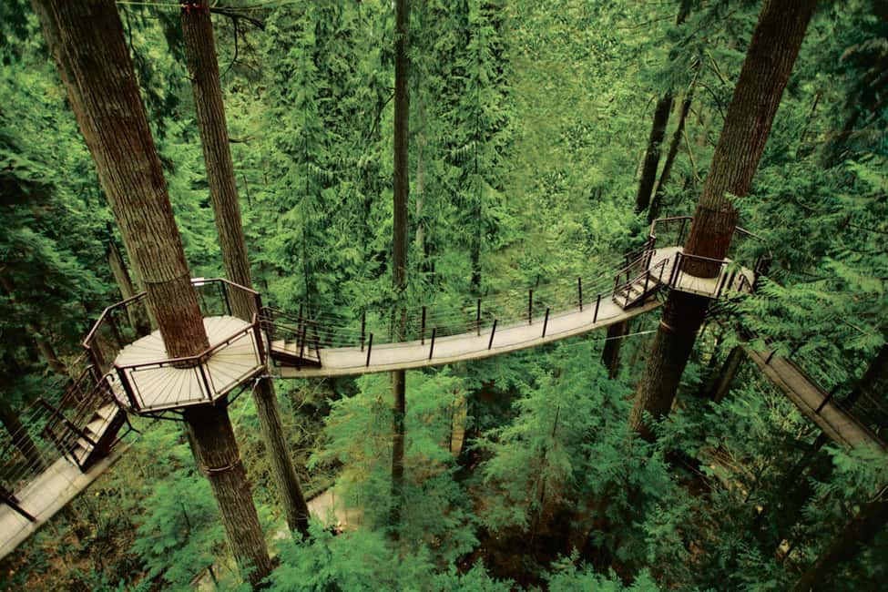 Grouse Mountain, Capilano Bridge & Fish Hatchery Tour - Value check: what you’re really buying for $192