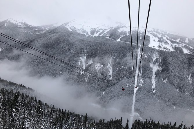 Guided Sightseeing Tour in Vancouver, Shannon Falls and Whistler - Eagles at Brackendale: Seasonal Best Odds for Bald Eagles