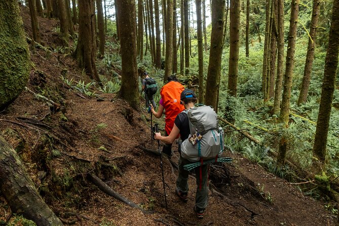 Guided Vancouver Hiking Highlights Day Tour with Gondola Download - How the value stacks up at $134.13 per person