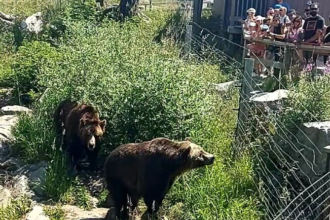 Guided Vancouver Hiking Highlights Day Tour with Gondola Download - Who should book this tour (and who might rethink it)