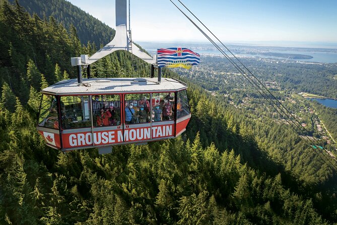 Guided Vancouver Hiking Highlights Day Tour with Gondola Download - Grouse Mountain up top: grizzlies, shows, and time to reset
