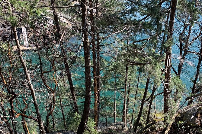 Half-day Hike and Bike Tour in Vancouver - Lighthouse Park Coastal Hike: 6km of old trees and ocean air