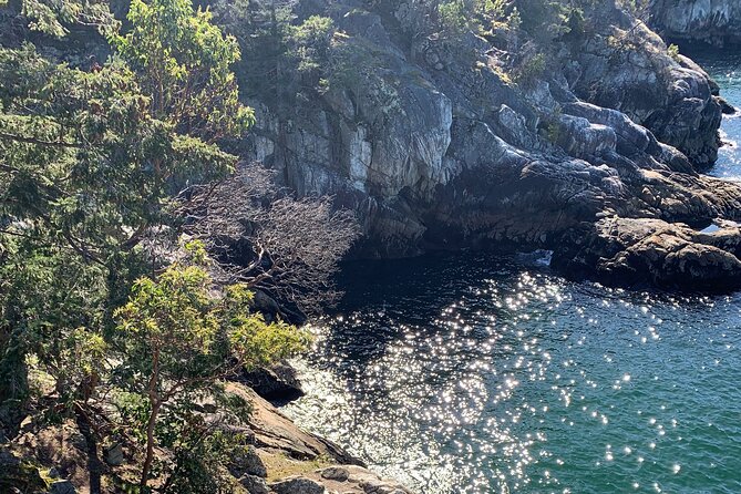 Half-day Hike and Bike Tour in Vancouver - The role of the guide: Adrian’s local rhythm and the photo-friendly stops