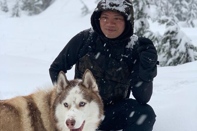 Husky Hikes Private Mountain Tours - A Short Vancouver Mountain Break That Feels Like a Real Getaway